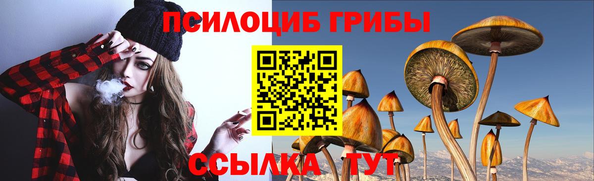 Мытищи  Псилоцибиновые грибы прущие грибы  Вход с VPN  Галлюциногенные грибы GOLDEN TEACHER 